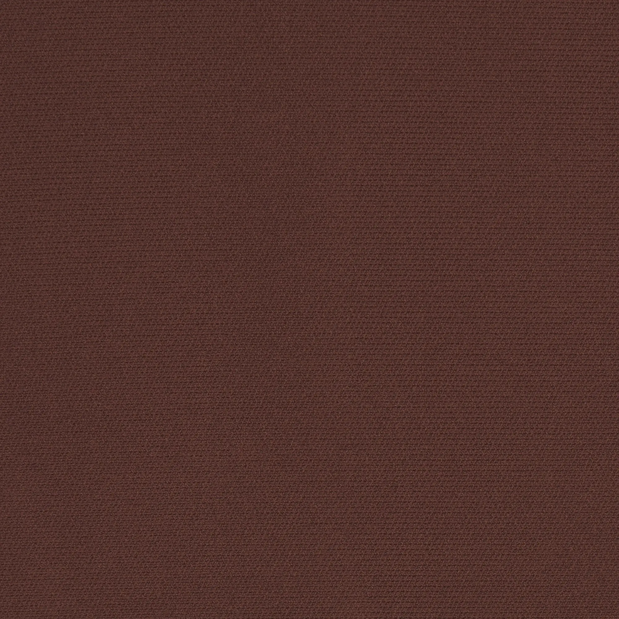 Butt Enhancing Padded Short - Image 8